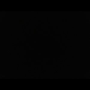 Meet your Posher, Teddy